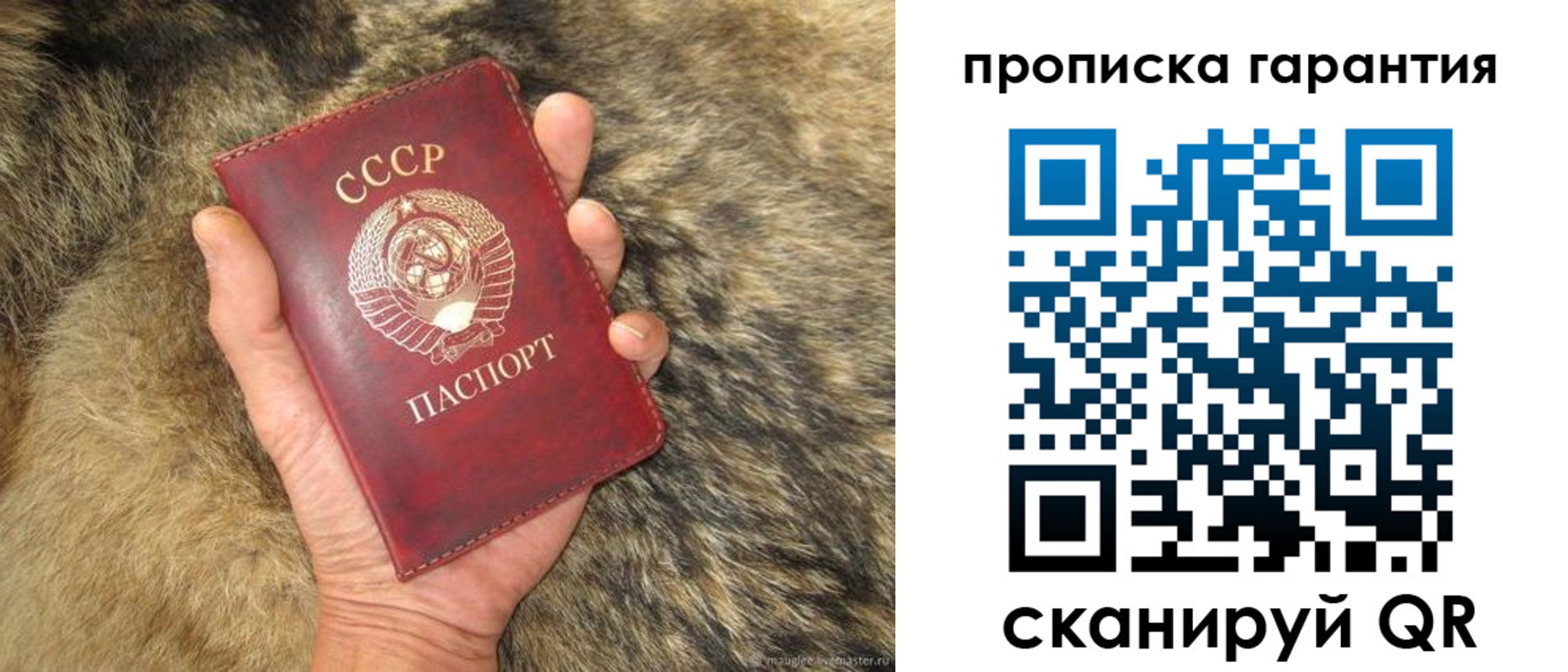 временная регистрация гарантия в Алексеевке